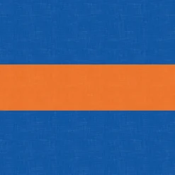 Triplex Short - BLUE/ORANGE